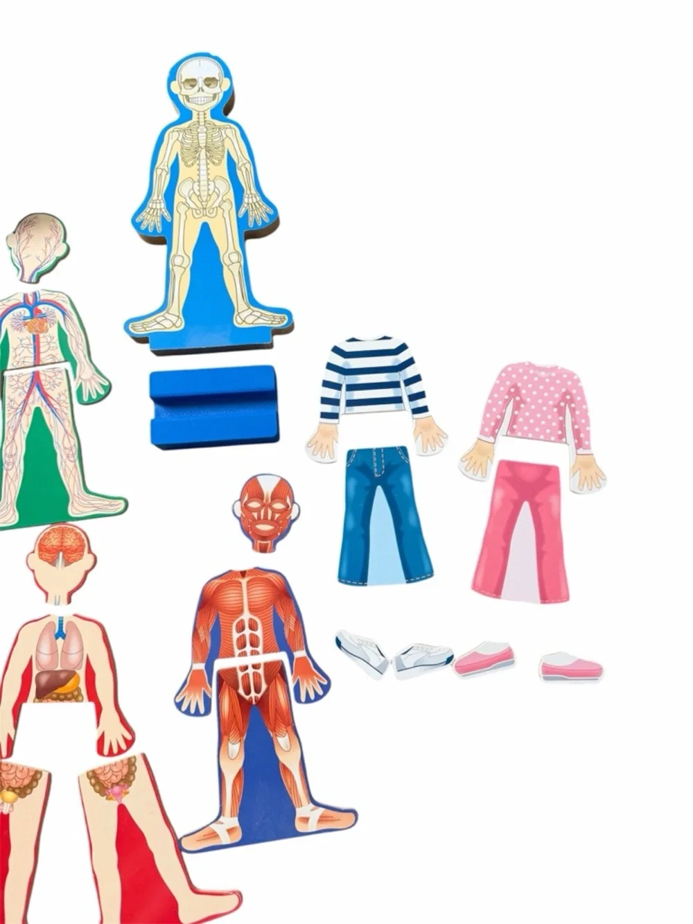 Melissa & Doug Magnetic Human Body Anatomy Play Set with 24 pcs and Storage Tray